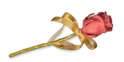  Rosé gekleurde roos, verguld in puur goud en versierd met echt robijnpoeder