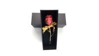 Echte roos, verguld in puur goud en versierd met echt robijnpoeder in een prachtige box